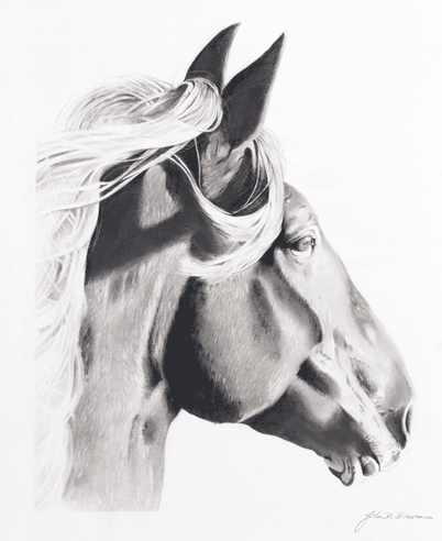 horseportrait.gif